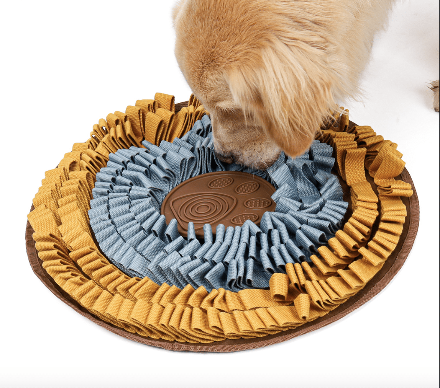 Happy Tails - Dog Washable Accent Rug — Horse and Hound Gallery